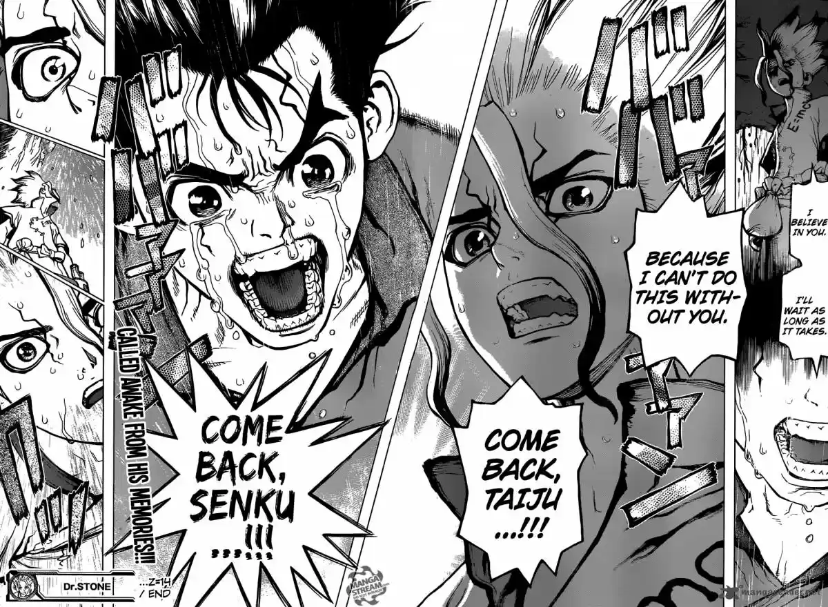 Dr. Stone 14