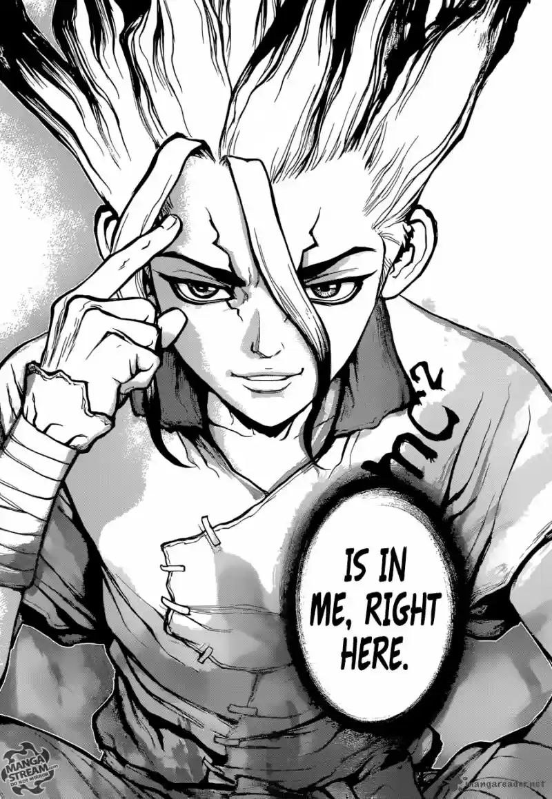 Dr. Stone 19