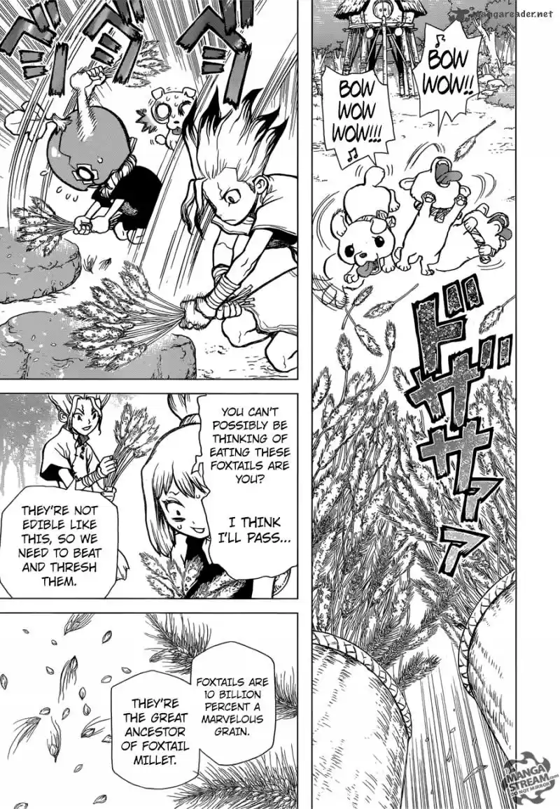 Dr. Stone 22