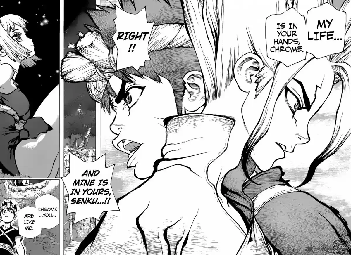 Dr. Stone 31