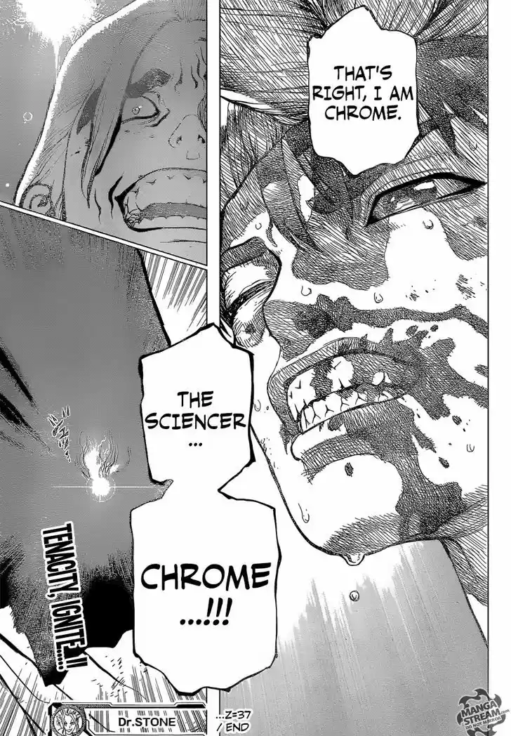 Dr. Stone 37