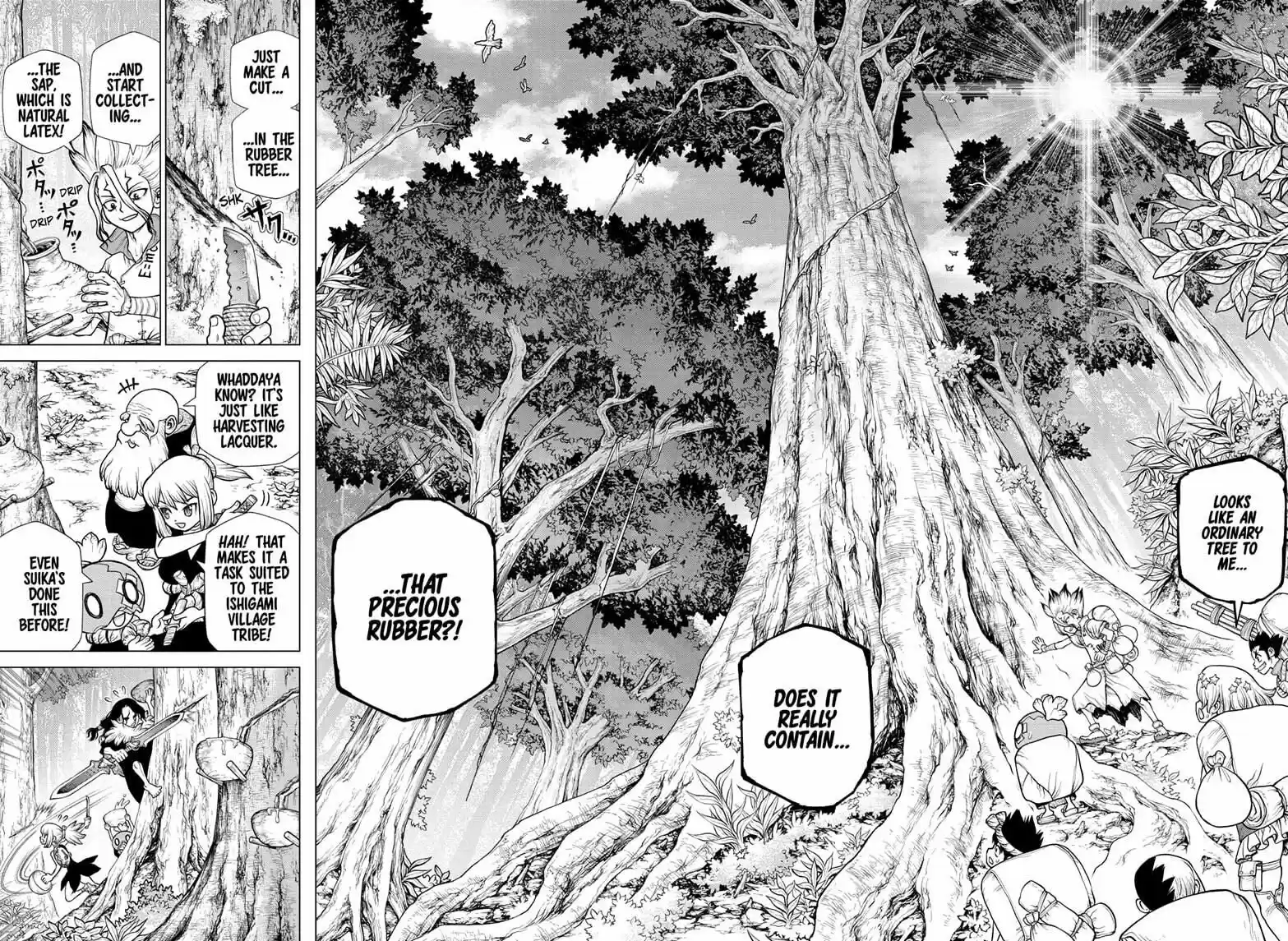 Dr. Stone ch.174
