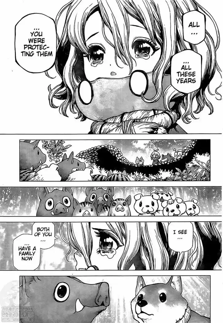 Dr. Stone Ch.212