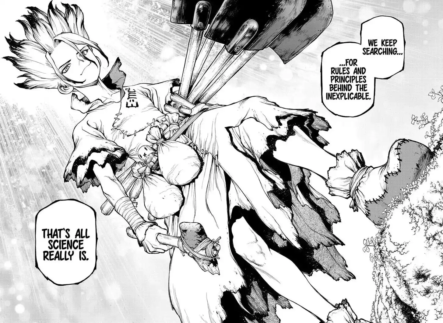 Dr. Stone Ch.232.8