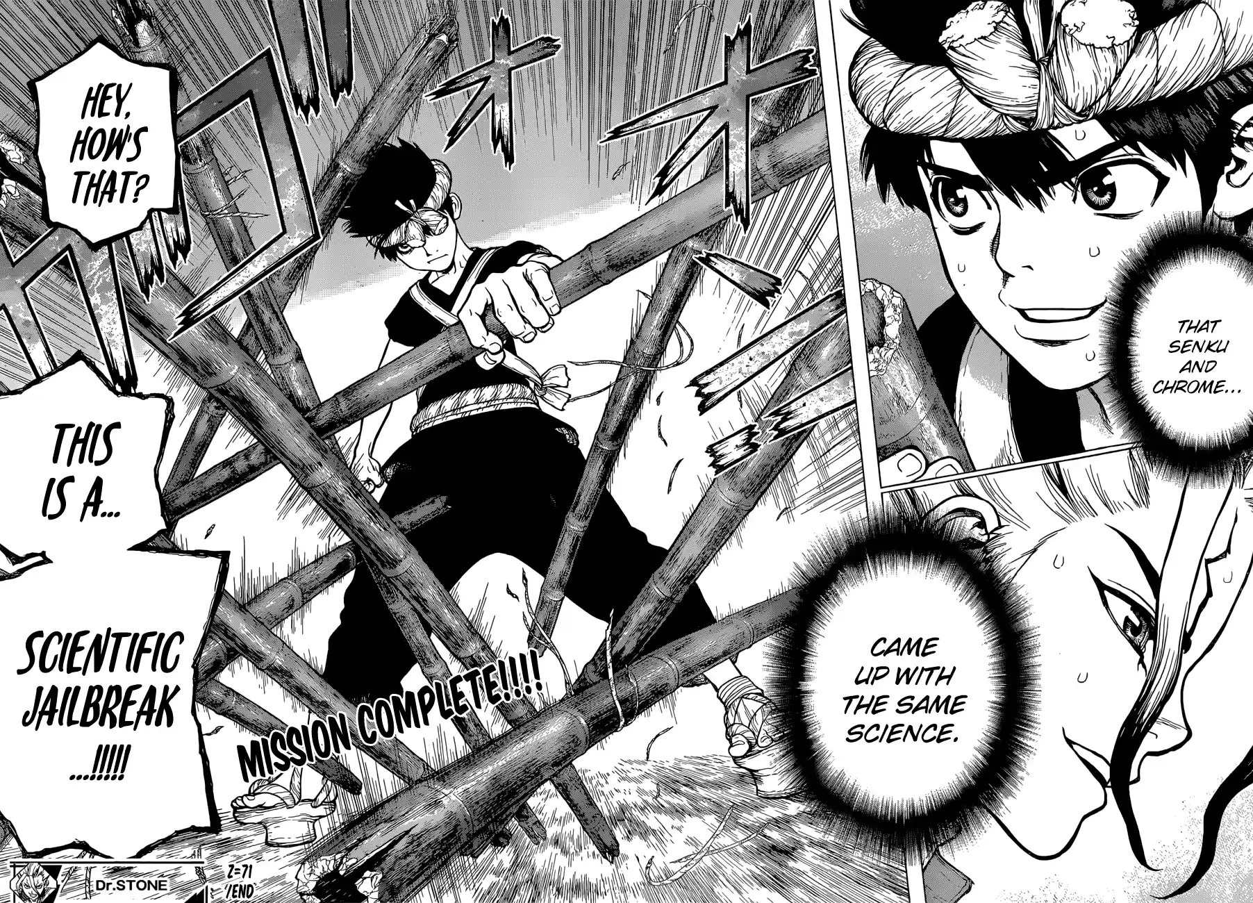 Dr. Stone Z=71