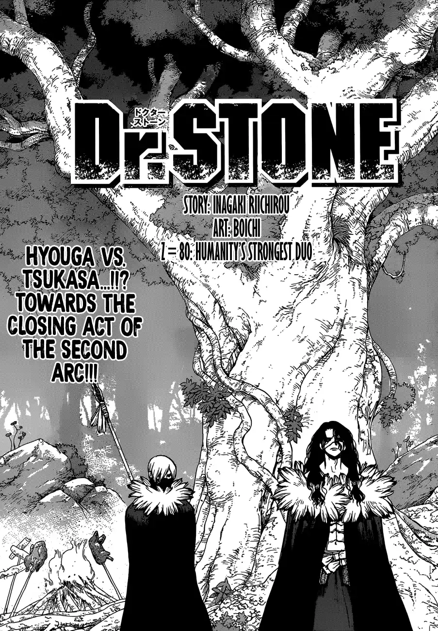 Dr. Stone Z=80