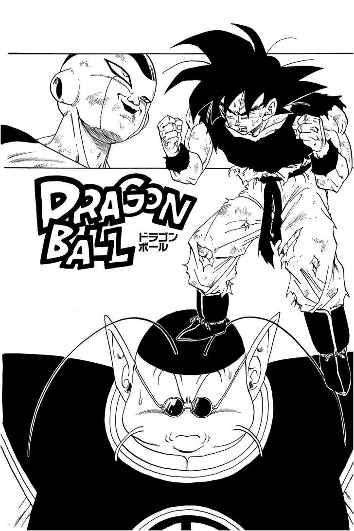 Dragon Ball 313