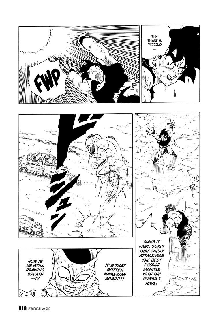 Dragon Ball 315