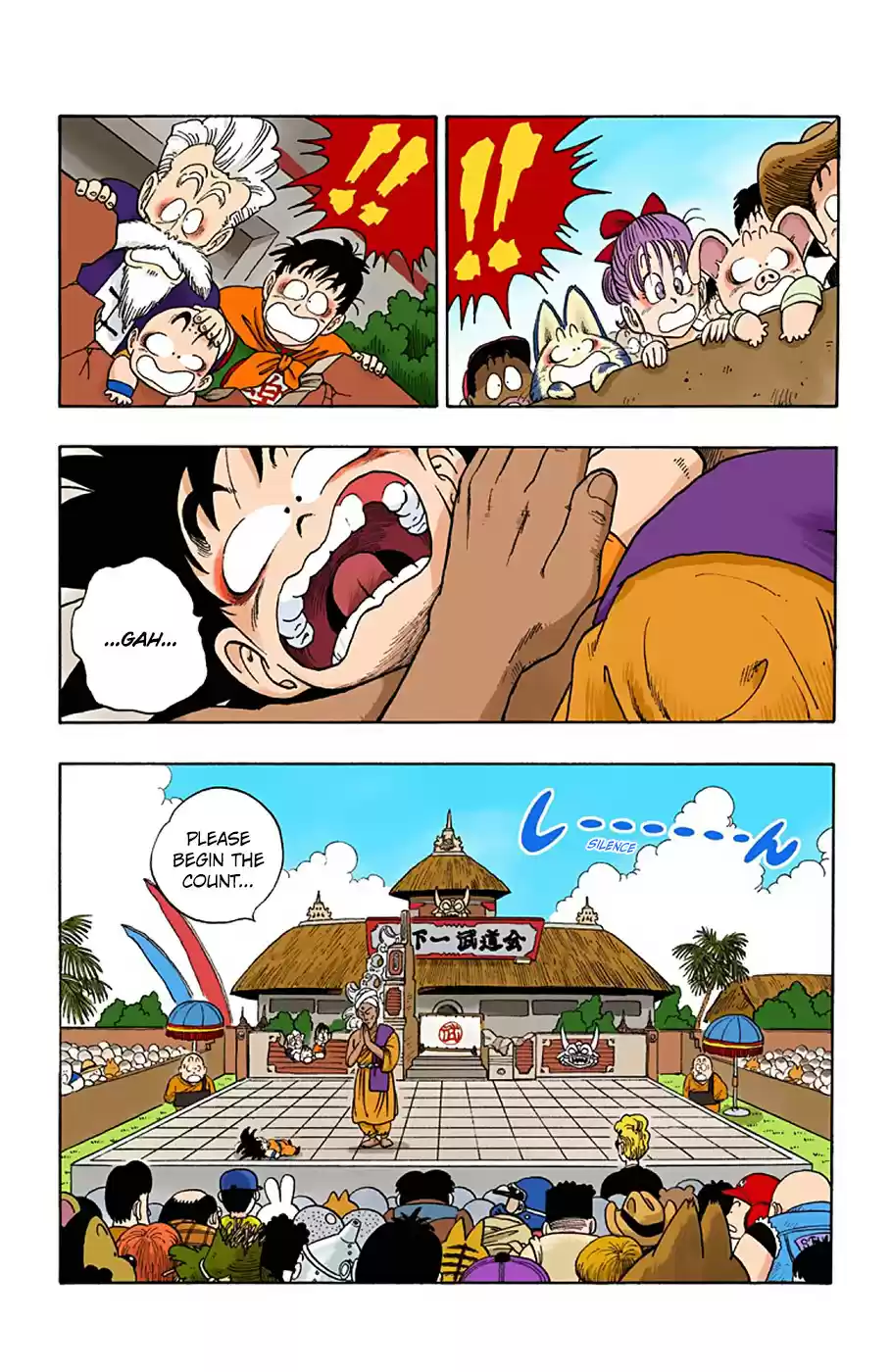 Dragon Ball Digital Colored Comics Vol. 4 Ch. 45 The Great Mid Air Battle!!