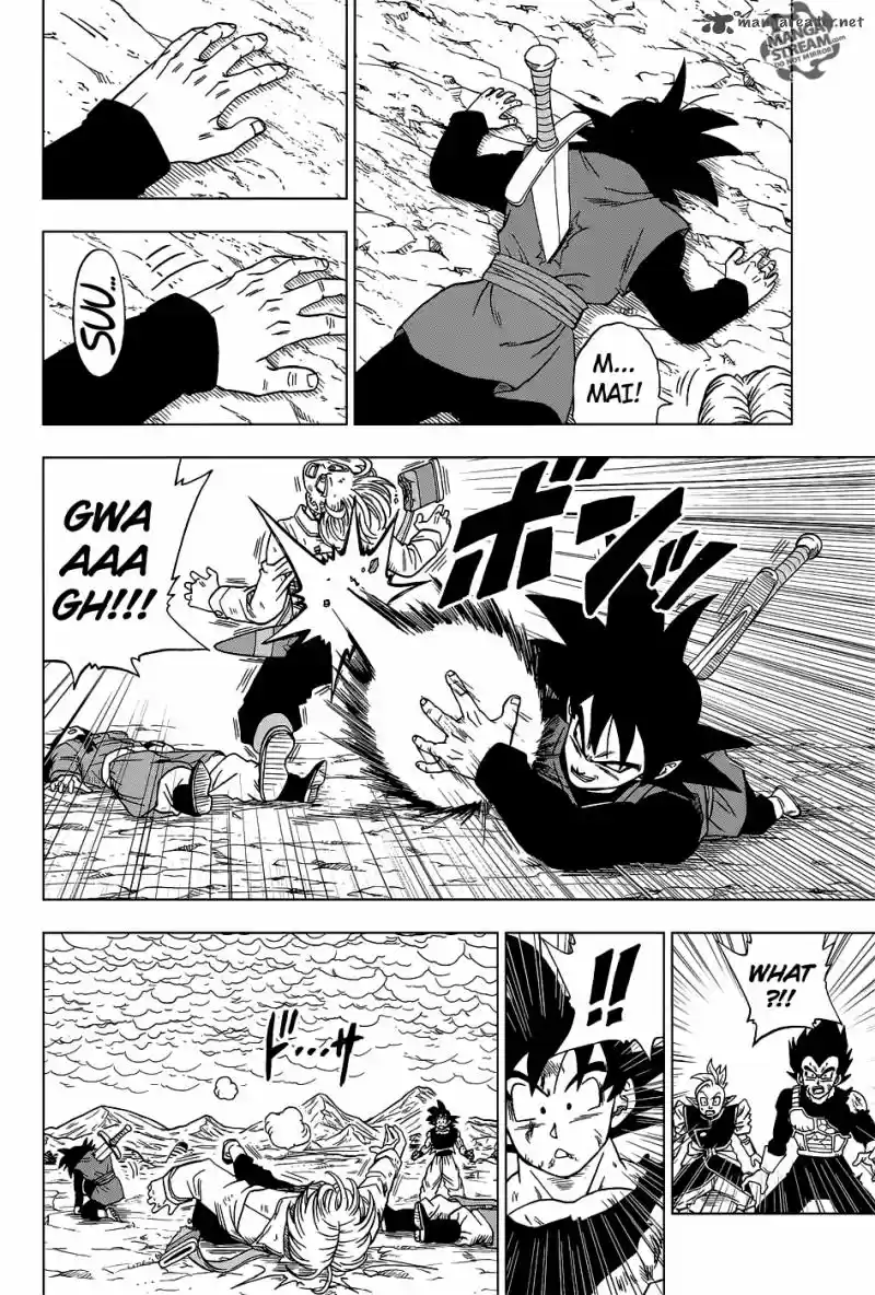 Dragon Ball Super 25