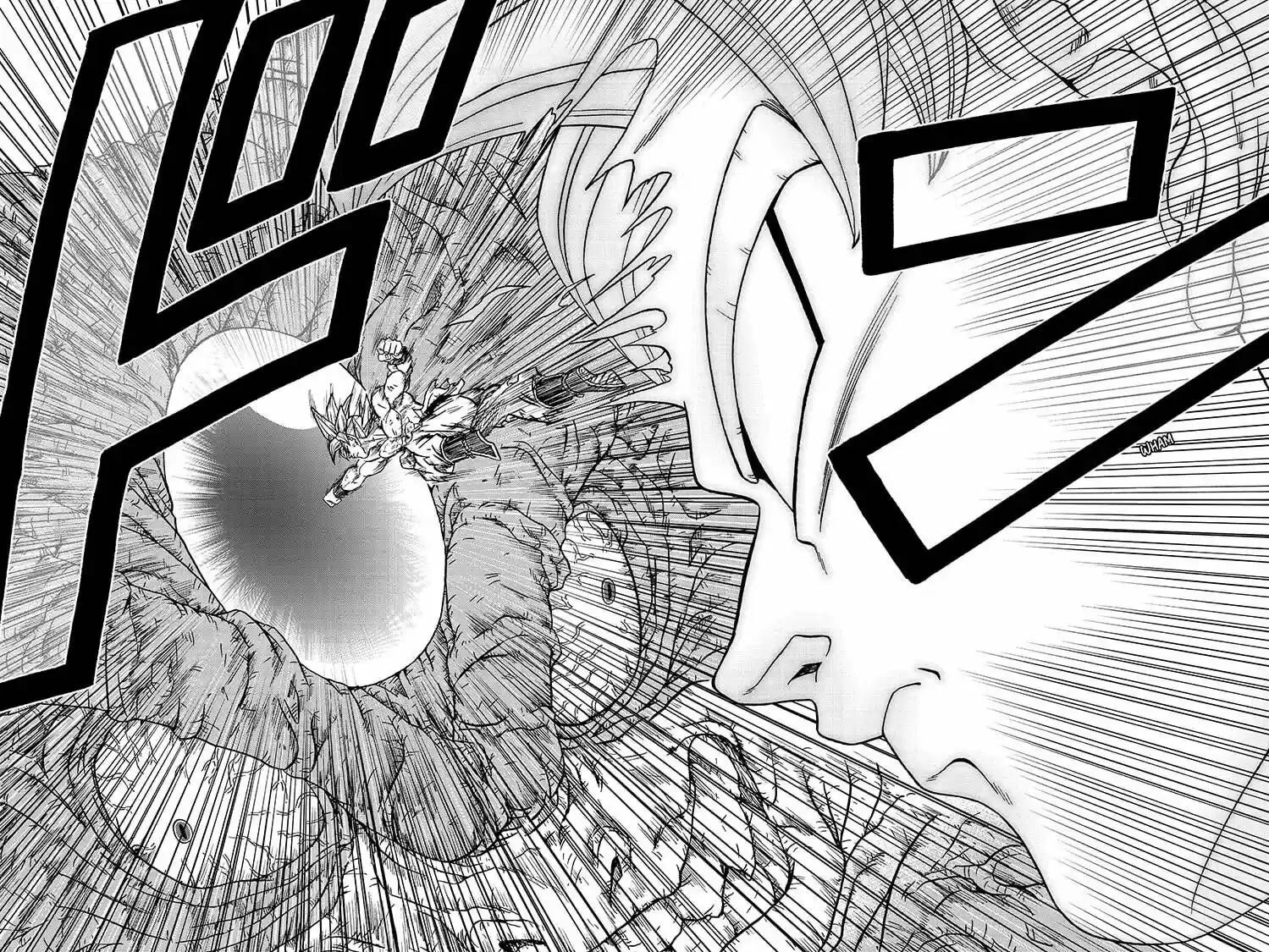 Dragon Ball Super ch.066