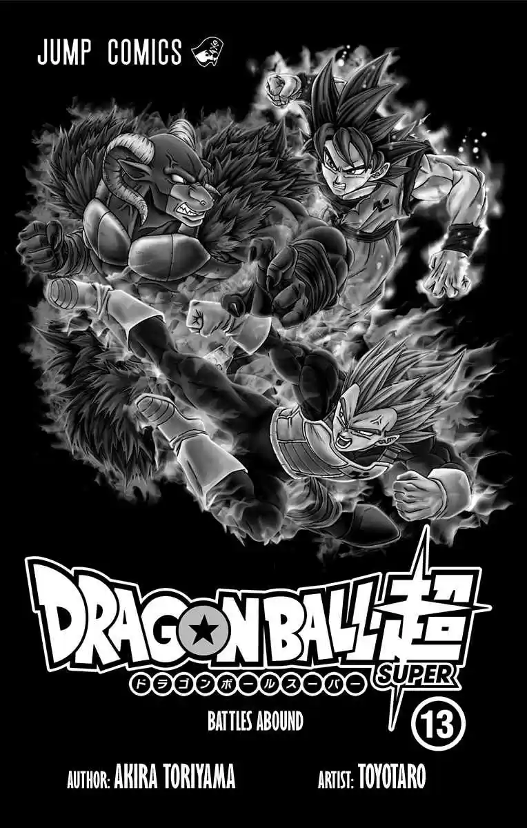 Dragon Ball Super Vol. 13 Ch. 60.5 Volume Extras