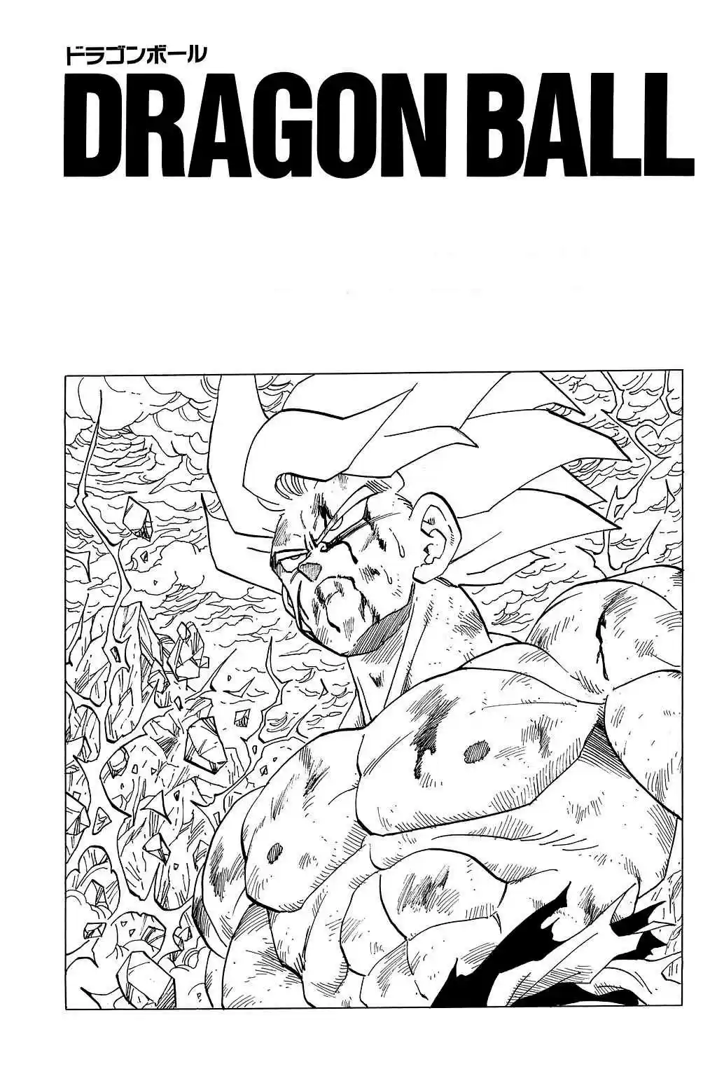 Dragon Ball Vol. 28 Ch. 329 Where is Goku?