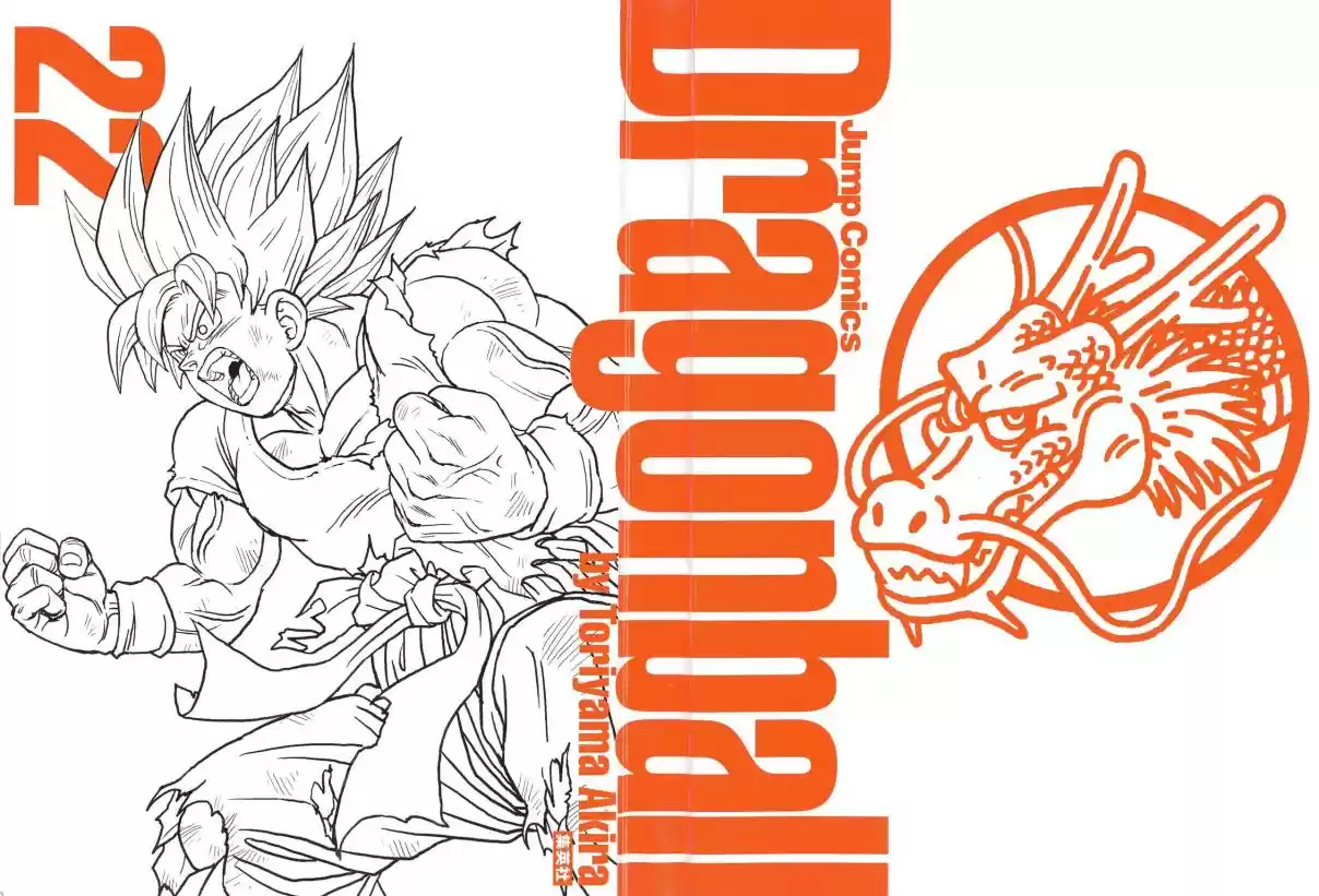 Dragon Ball Vol. 28 Ch. 329 Where is Goku?