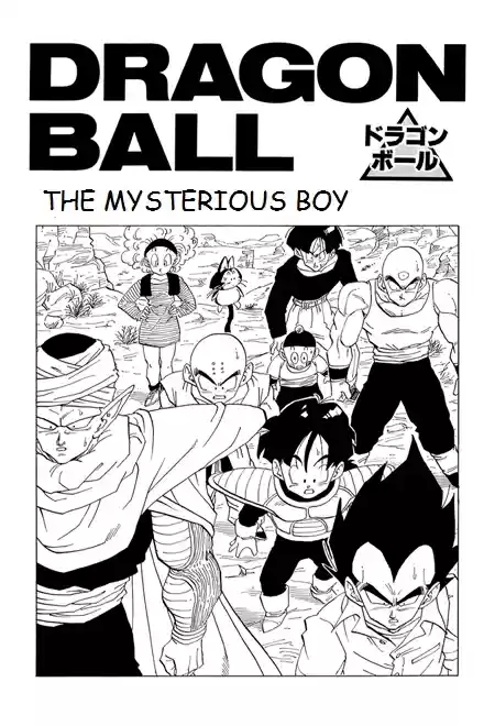 Dragon Ball Vol. 28 Ch. 331 The Mysterious Boy