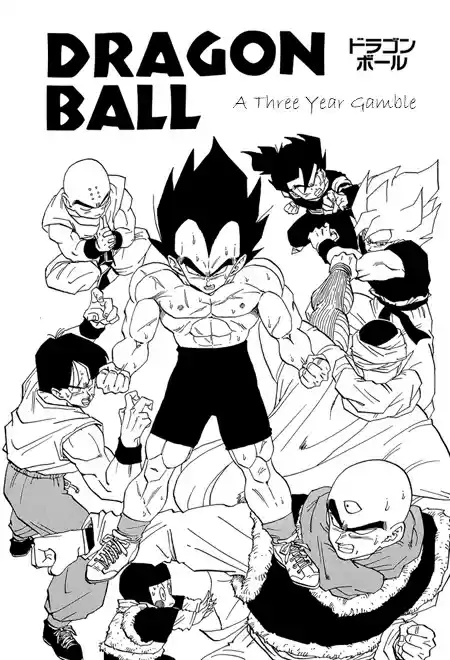 Dragon Ball Vol. 28 Ch. 336 The Risky Decision