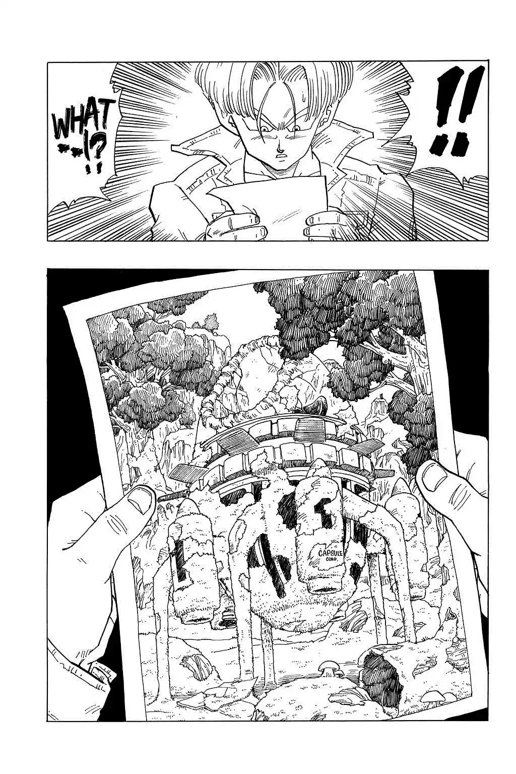 Dragon Ball Vol. 30 Ch. 357 A Discovery