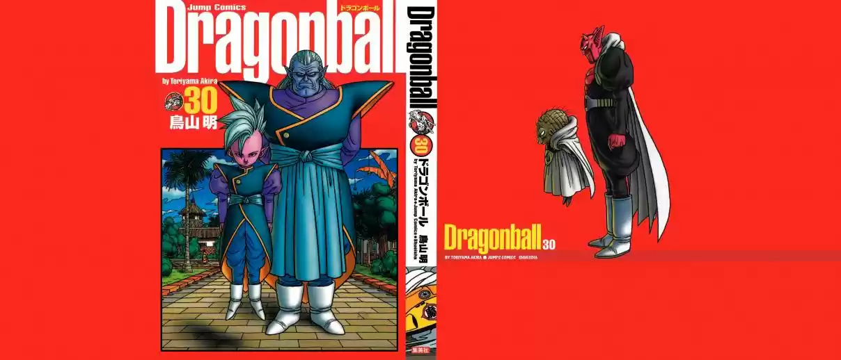 Dragon Ball Vol. 37 Ch. 437 A Mysterious Pair