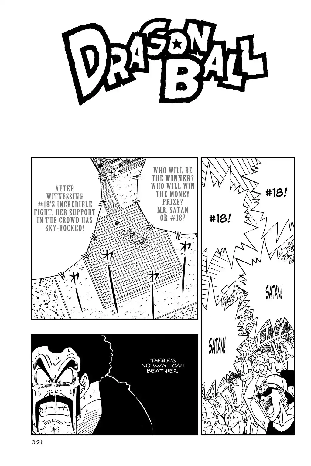 Dragon Ball Vol. 38 Ch. 454 The Winner is Decided!!!