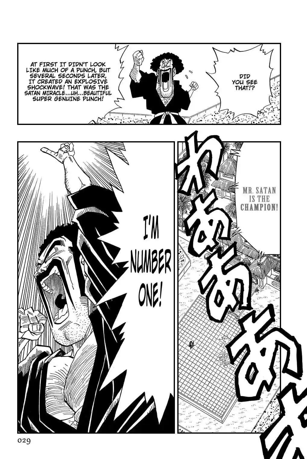 Dragon Ball Vol. 38 Ch. 454 The Winner is Decided!!!