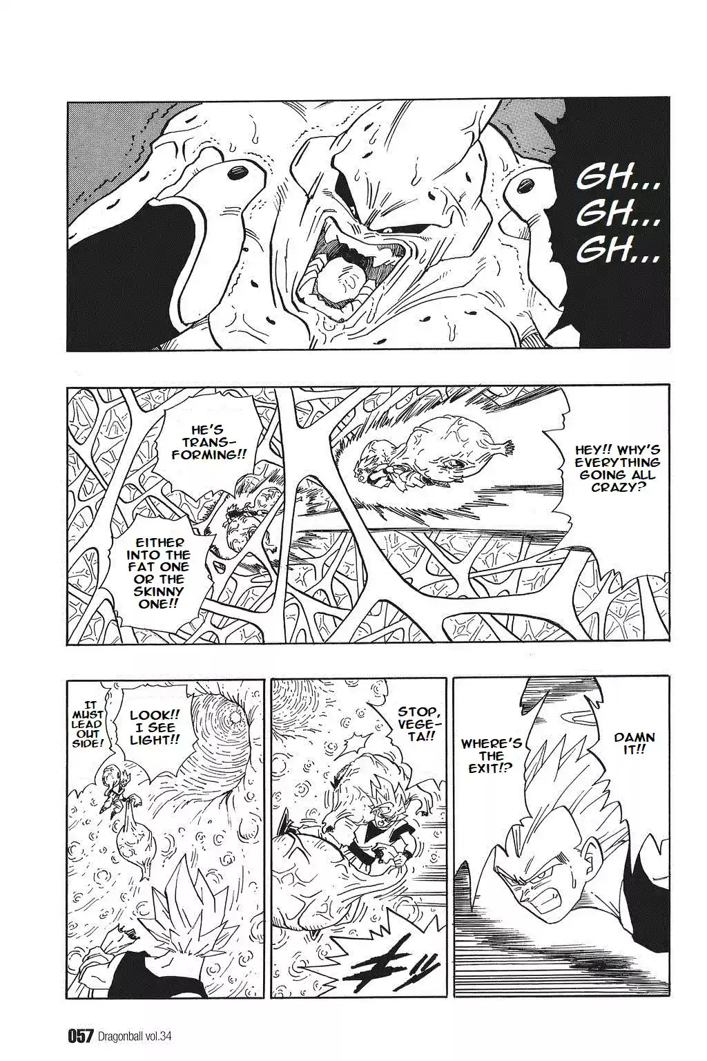 Dragon Ball Vol. 42 Ch. 507 Boo and Boo Inside of Boo