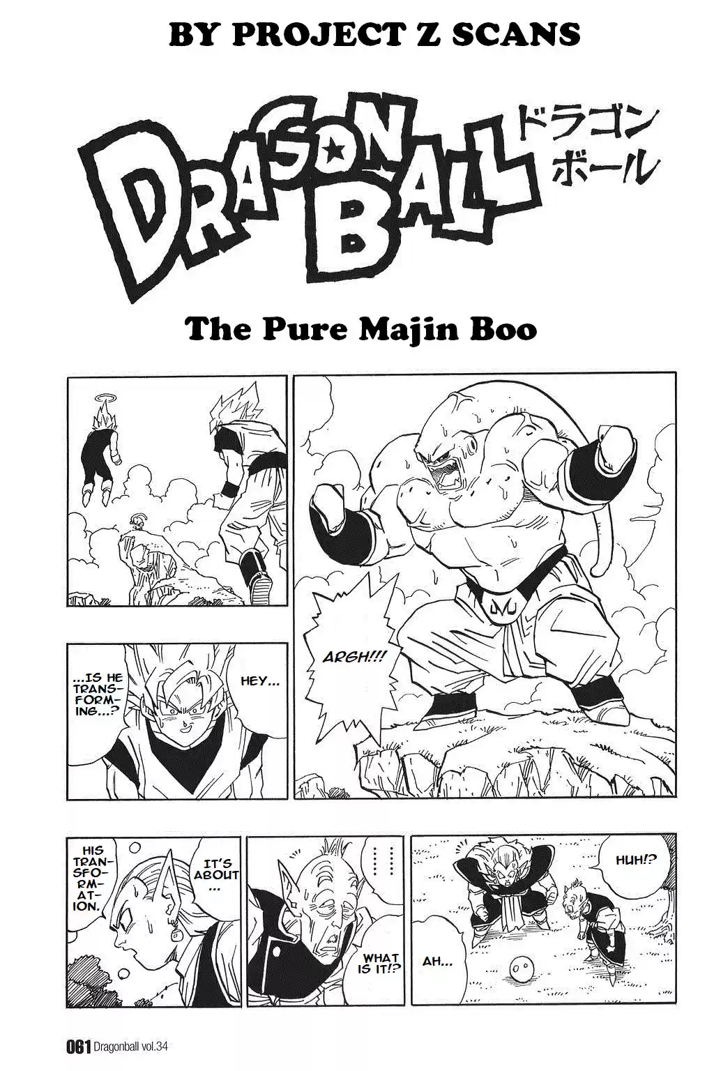 Dragon Ball Vol. 42 Ch. 508 The Pure Majin Boo