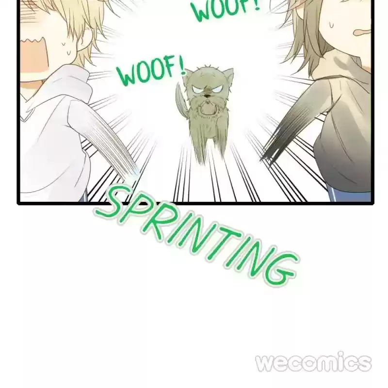 Dragon Boys' Love Affairs Chapter 34