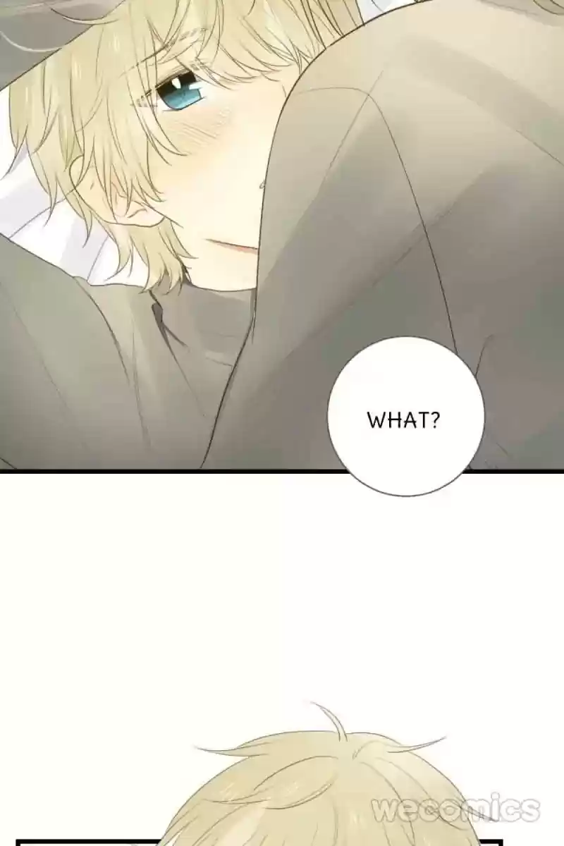 Dragon Boys' Love Affairs Chapter 41