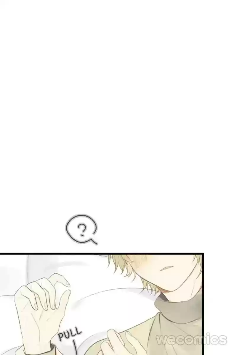 Dragon Boys' Love Affairs Chapter 41