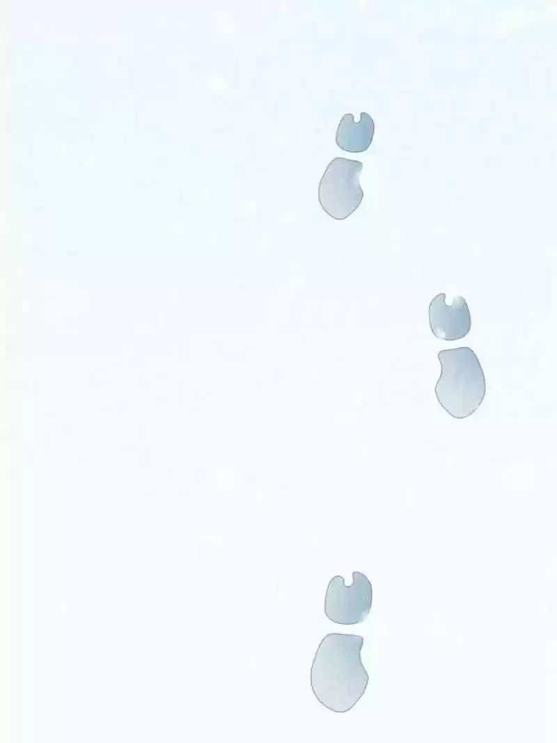 Dragon King’S Son-In-Law Chapter 52