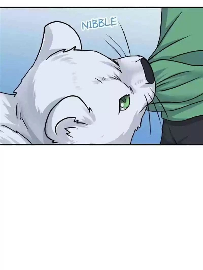 Dragon King’S Son-In-Law Chapter 64