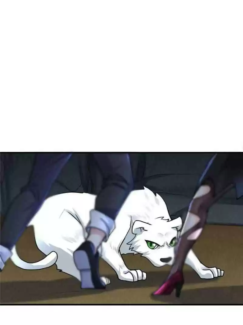 Dragon King’S Son-In-Law Chapter 65