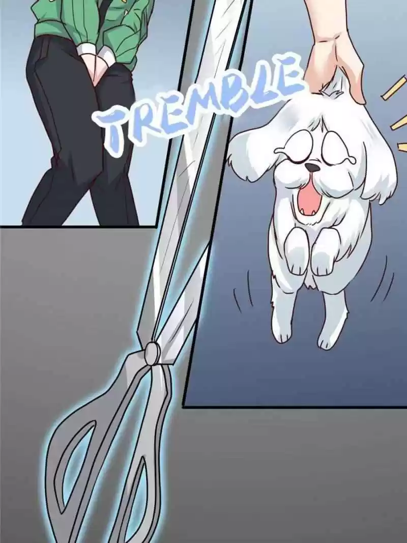 Dragon King’S Son-In-Law Chapter 66