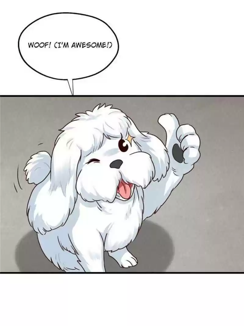 Dragon King’S Son-In-Law Chapter 67