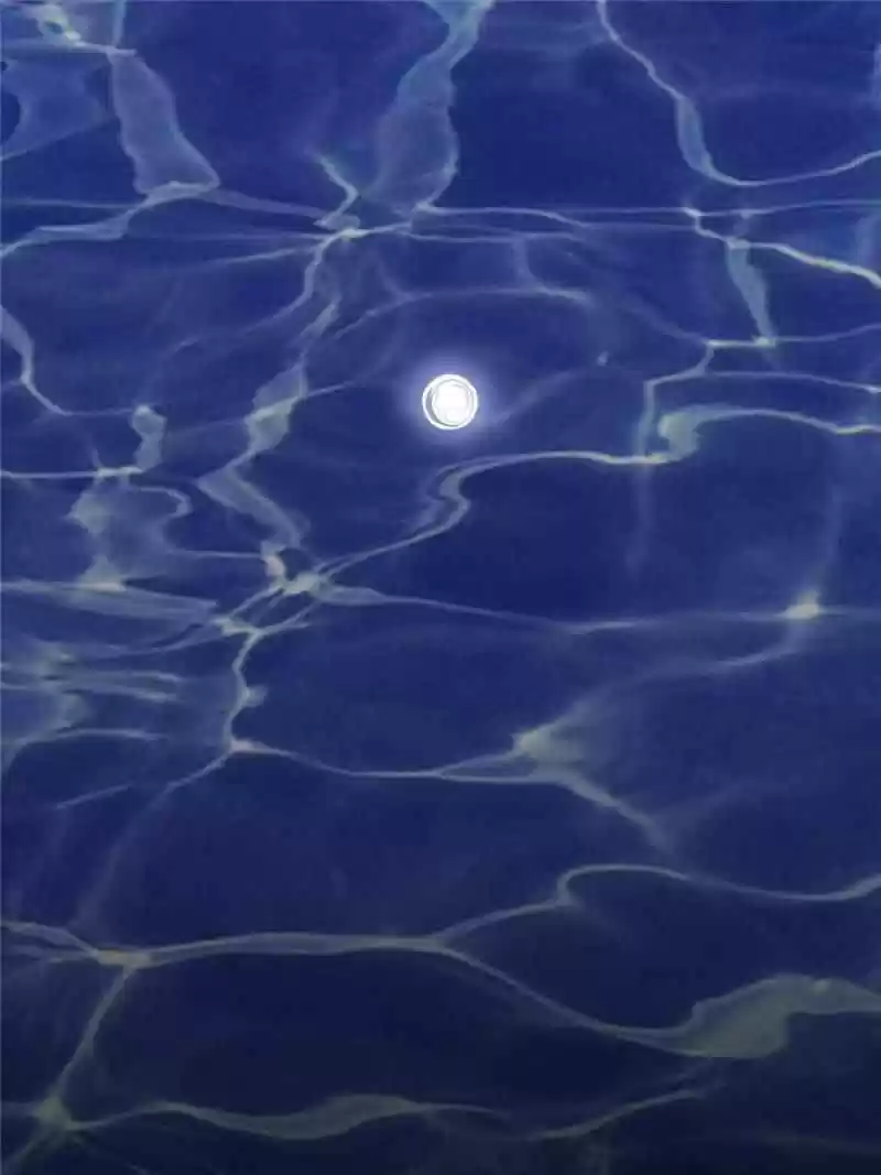 Dragon King’S Son-In-Law Chapter 7