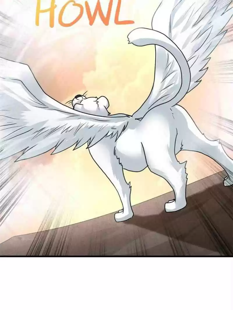 Dragon King’S Son-In-Law Chapter 72