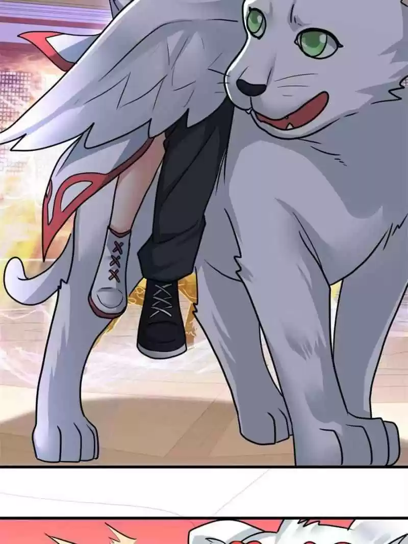 Dragon King’S Son-In-Law Chapter 72