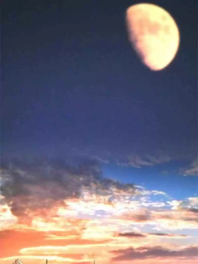 Dragon King’S Son-In-Law Chapter 81