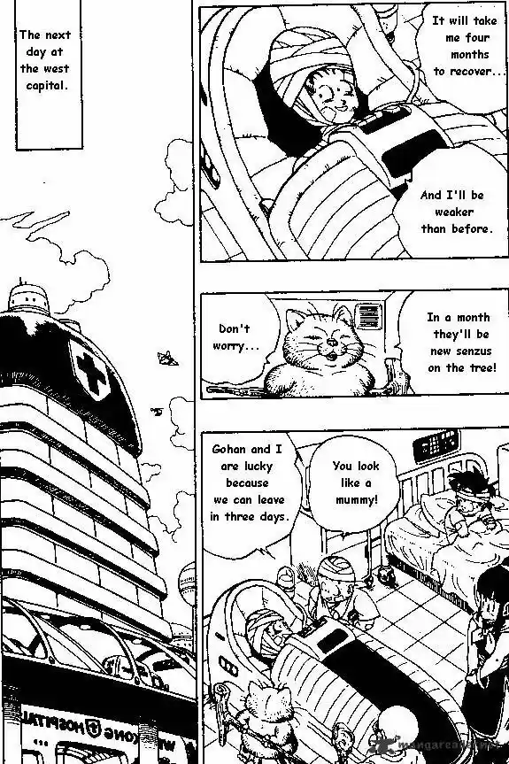DragonBall Next-Gen ch.243
