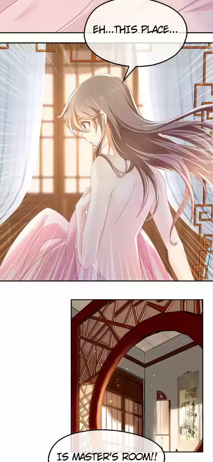 Drop-Dead Beauty Chapter 19