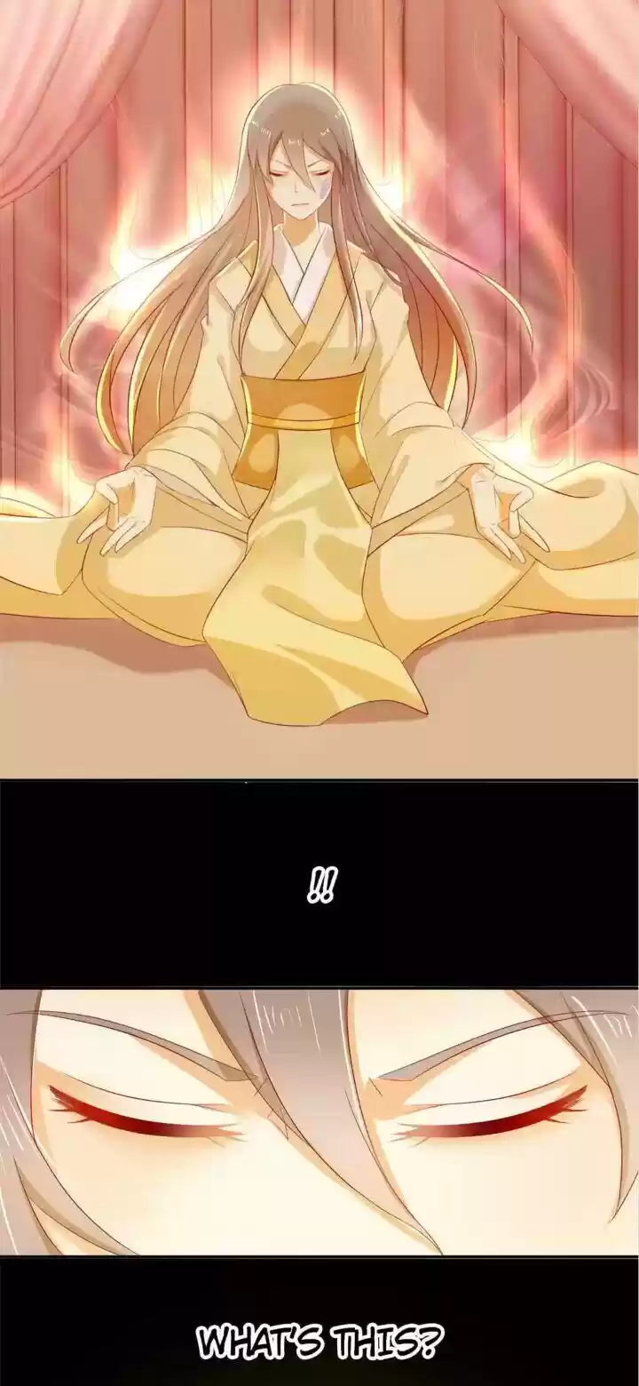 Drop-Dead Beauty Chapter 4