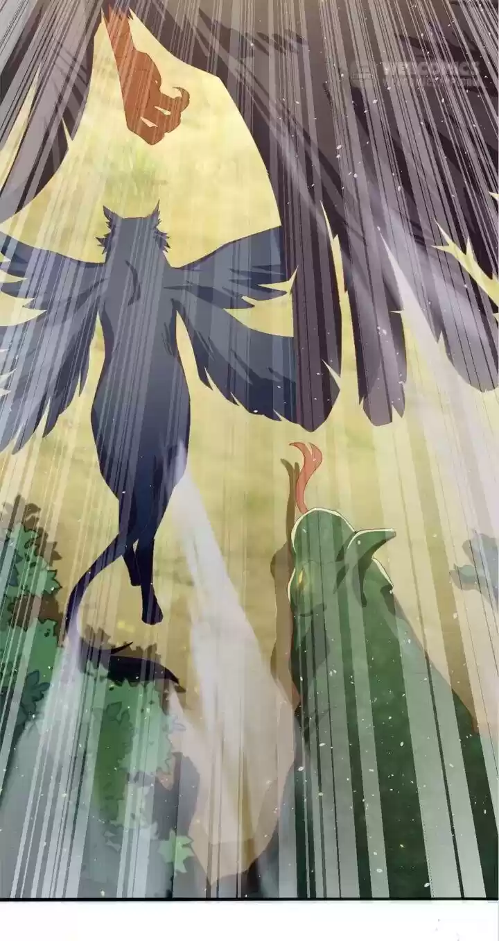 Drop-Dead Beauty Chapter 81