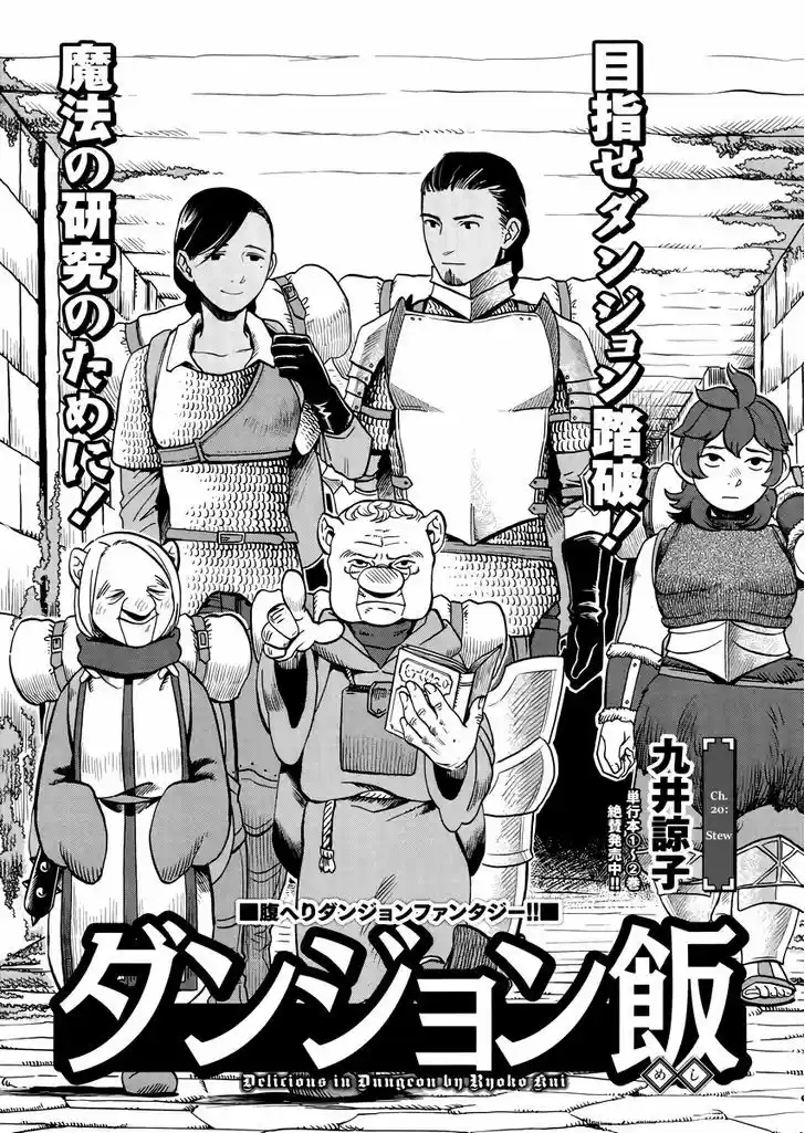 Dungeon Meshi 20