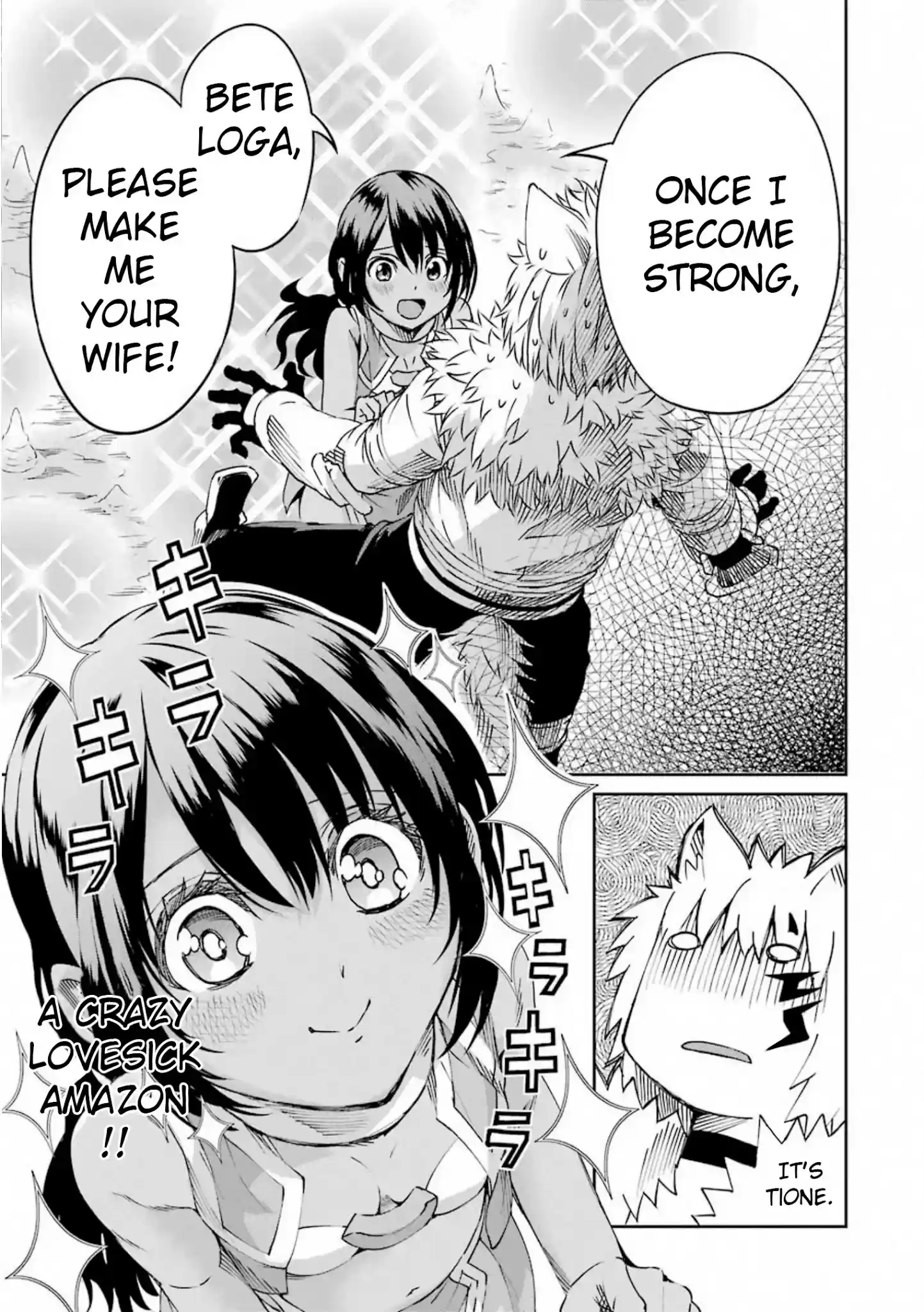 Dungeon Ni Deai O Motomeru No Wa Machigatte Iru Darou Ka Gaiden - Sword Oratoria Chapter 71