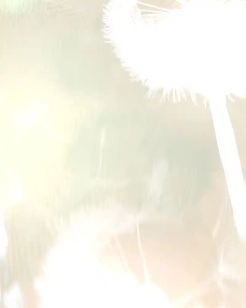 Eaternal Nocturnal Chapter 51