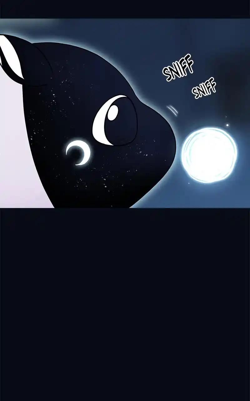 Eaternal Nocturnal Chapter 63