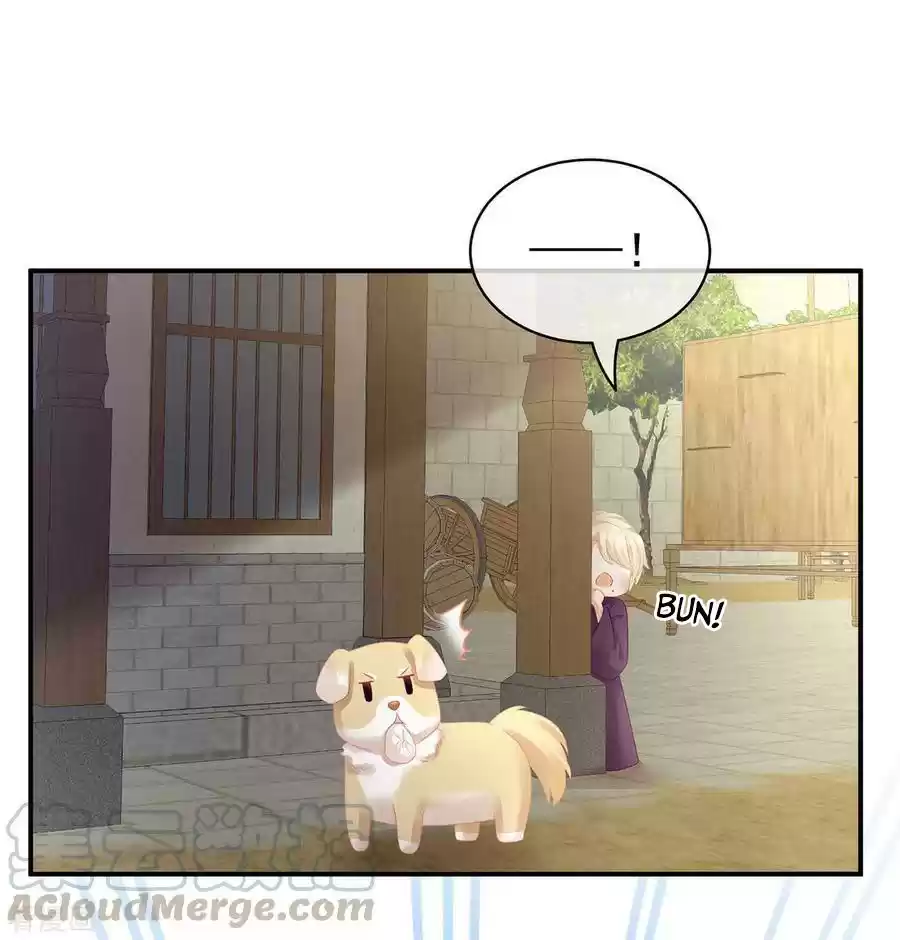 Empress's Harem Ch. 104