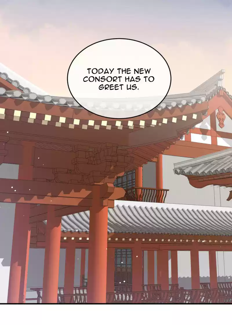 Empress's Harem Ch. 144