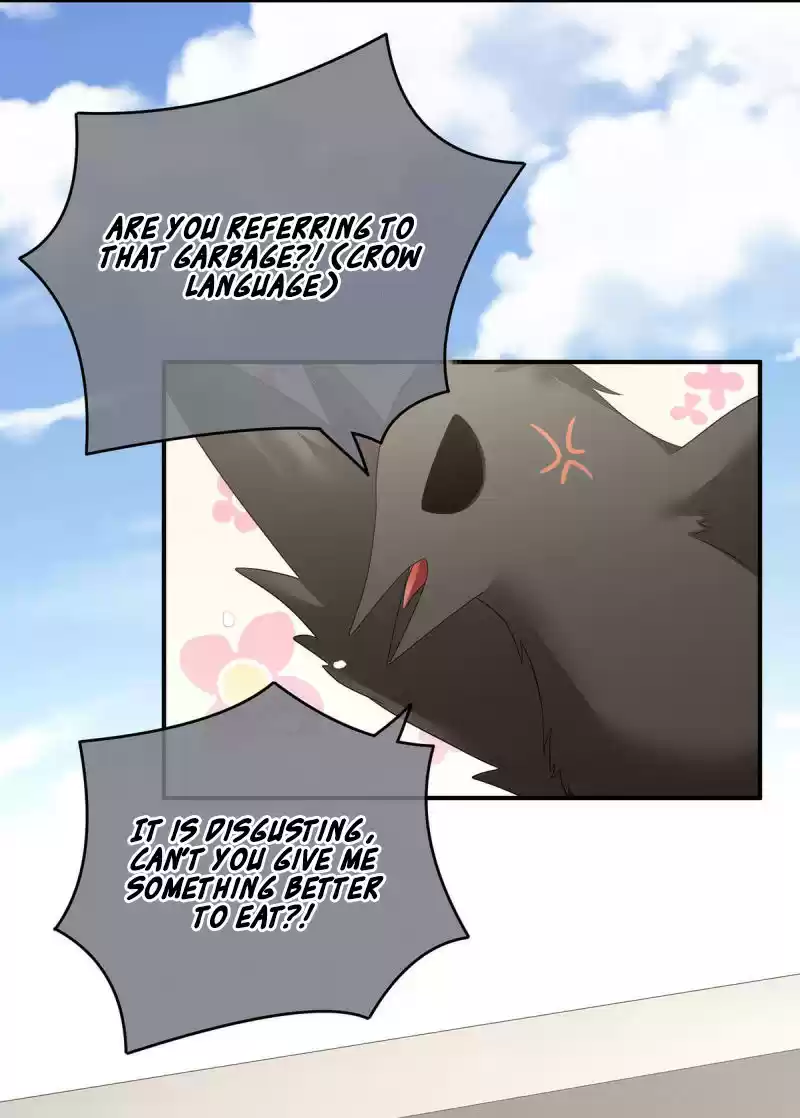 Empress's Harem Ch. 149