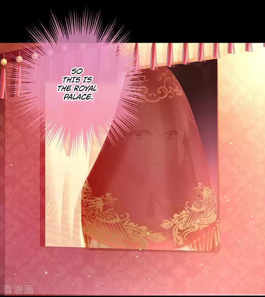 Empress's Harem Ch. 51